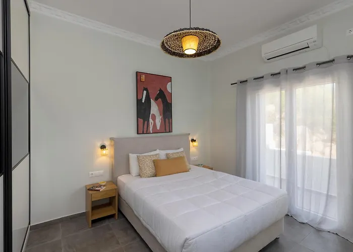 Διαμέρισμα Elia Syros *